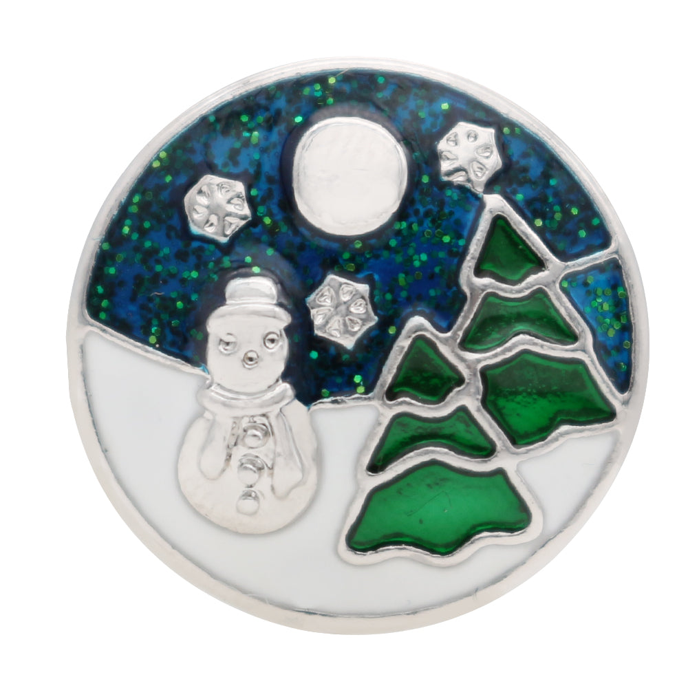 Nighttime Winter Scene