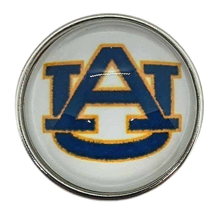 College Football - Auburn Tigers