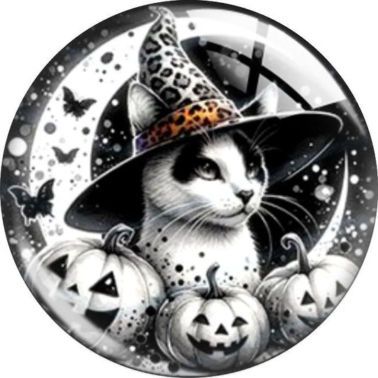 Black & White Cat In Witch's Hat