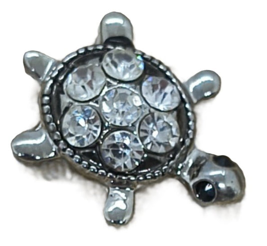 Little Bitty Turtle