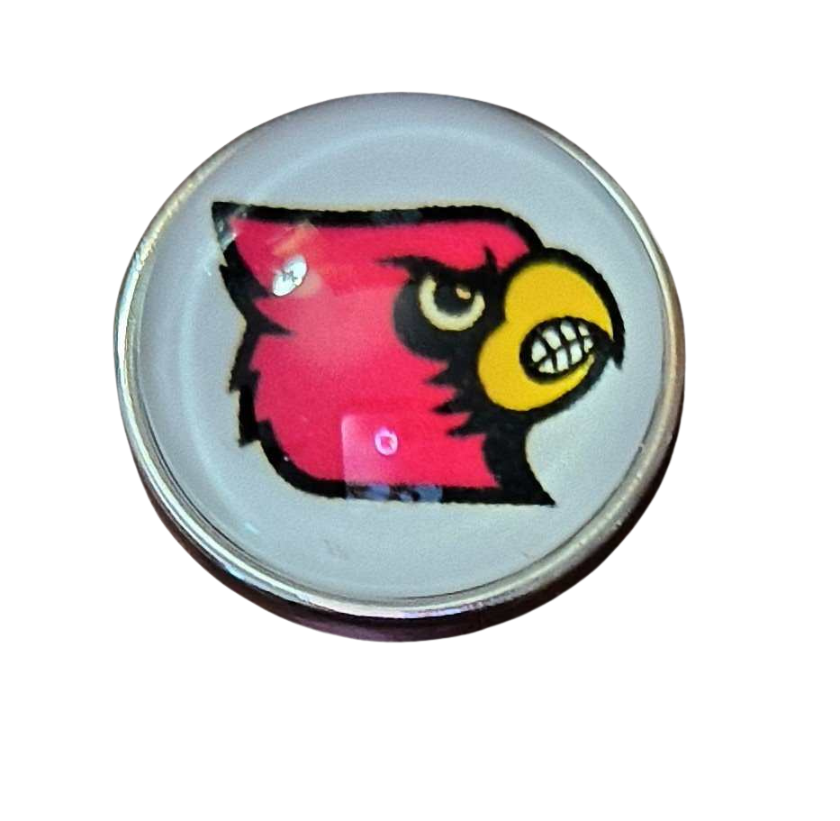 College Football - Louisville Cardinals