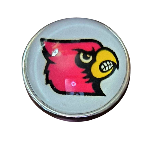 College Football - Louisville Cardinals