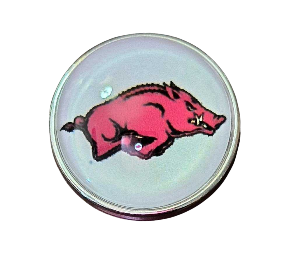 College Football - Arkansas razorbacks