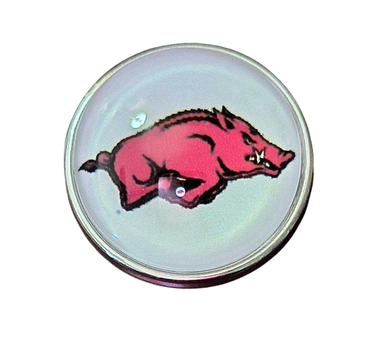 College Football - Arkansas razorbacks