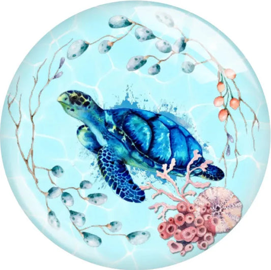 Sea Turtle #1