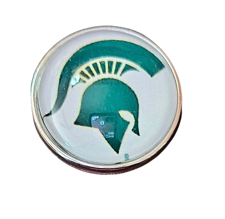 College Football - Michigan Spartans