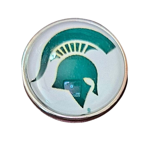 College Football - Michigan Spartans