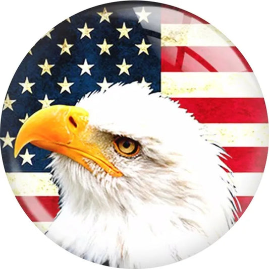 AMerican Eagle/US Flag