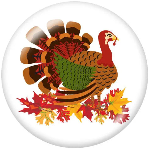 Traditional Thanksgiving Turkey