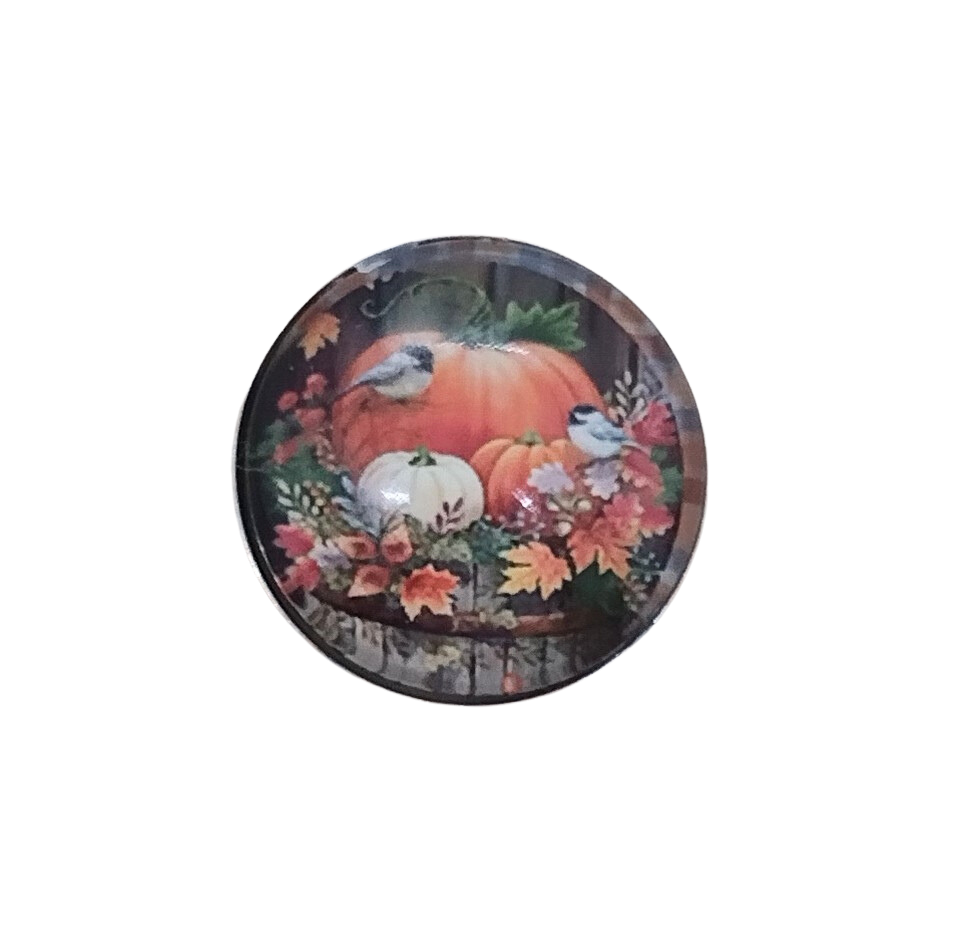 Pumpkin Patch