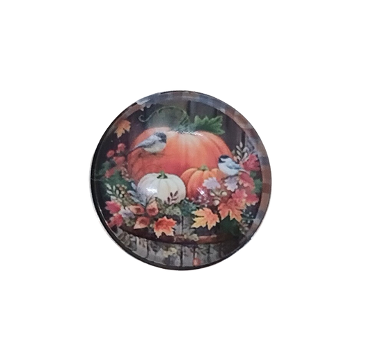 Pumpkin Patch