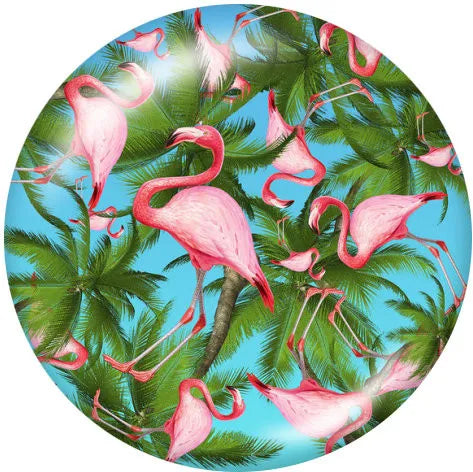Nesting Flamingos