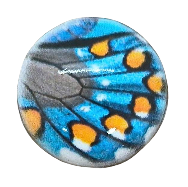 Butterfly Wing