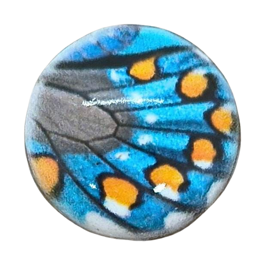 Butterfly Wing