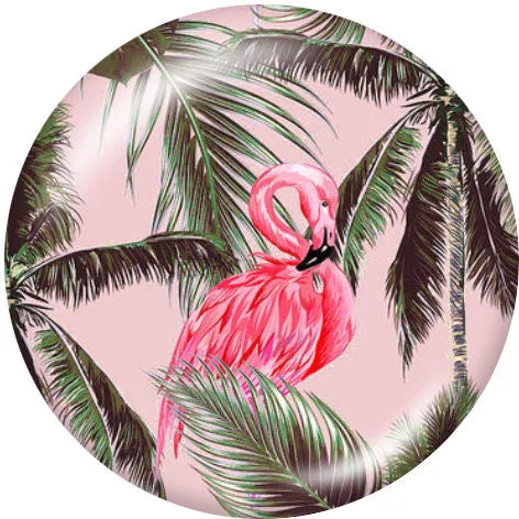 Solitary Flamingo