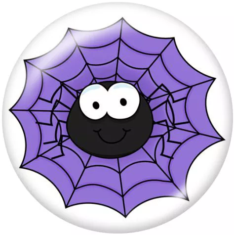 Spider In Web