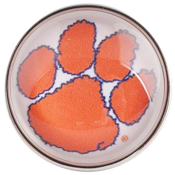 College Football - Clemson