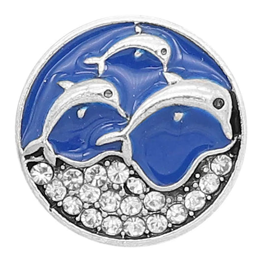 Dolphin Show