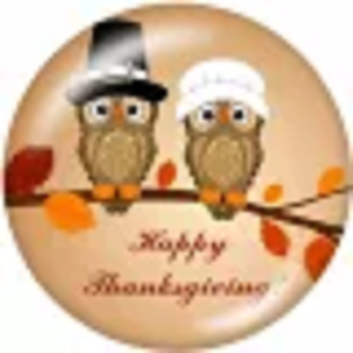 Happy Thanksgiving Owls