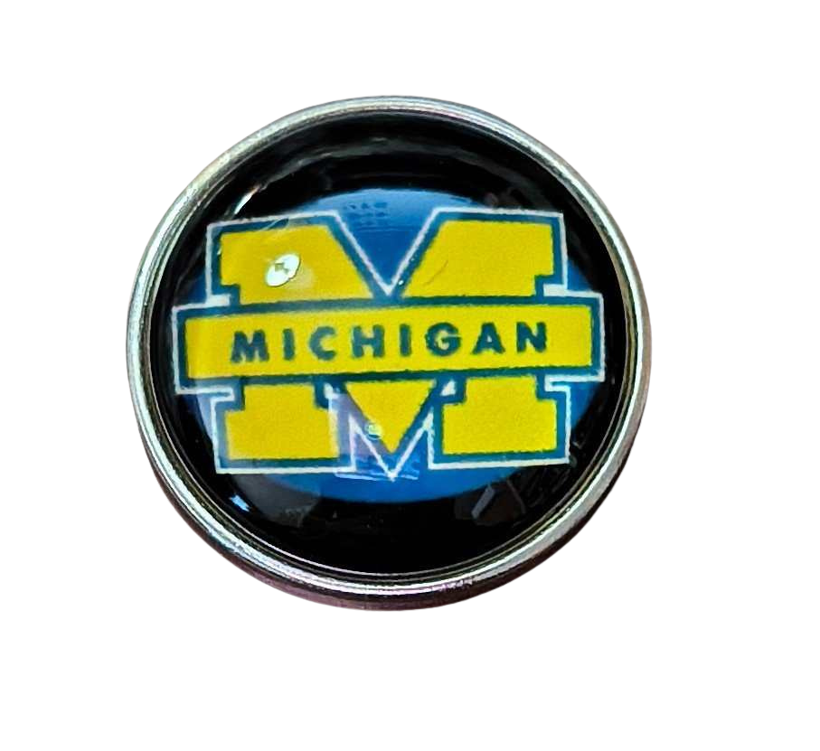 College Football - Michigan