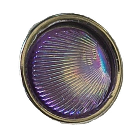 Iridescent Clam Shell (12mm)