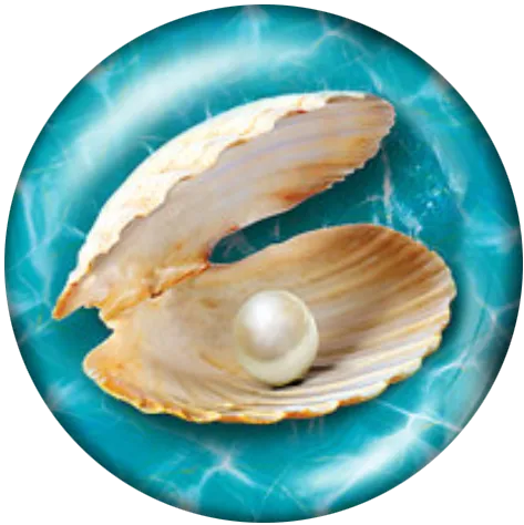Seashell #2