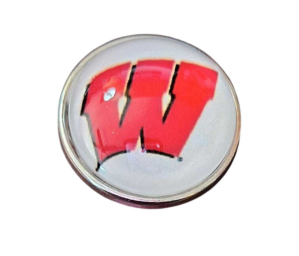 College Football - Wisconsin Badgers