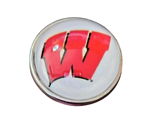 College Football - Wisconsin Badgers