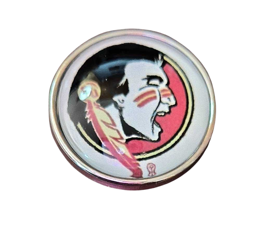 College Football - Florida State Seminoles