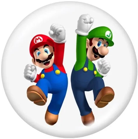 Mario & Luigi