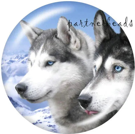 Husky