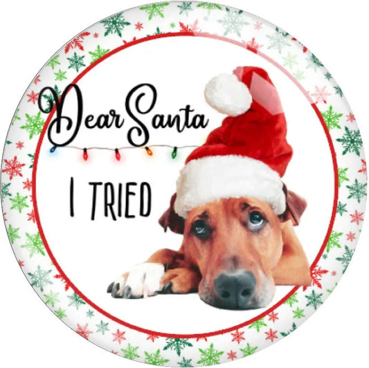 Dear Santa, I Tried!