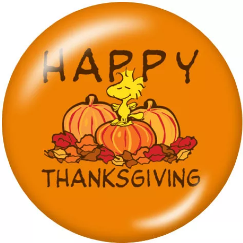 Woodstock Happy Thanksgiving
